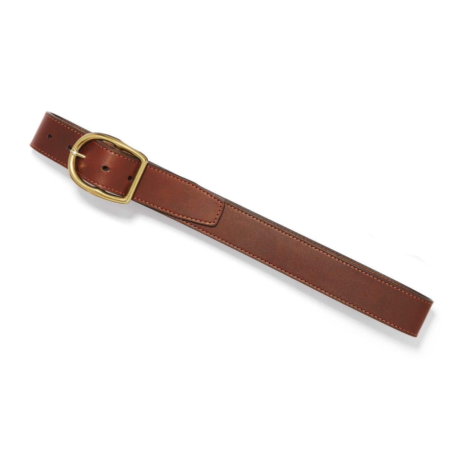 Womens Brighton Ambrose Belt