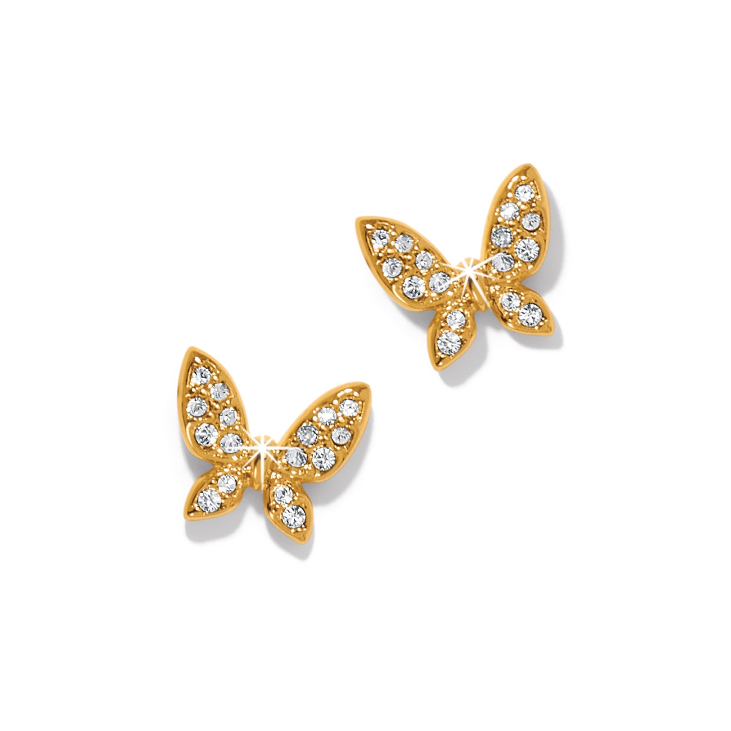 Womens Brighton Enchanting Butterfly Post Earrings in Gold