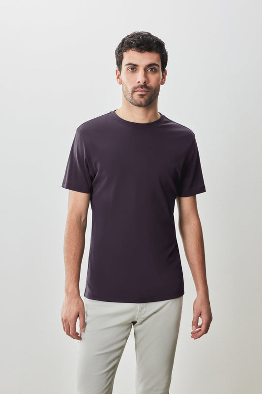 Robert Barakett Georgia Tee in Winter Purple