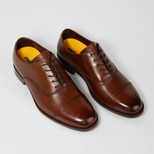 Amberjack Regent Full Grain Leather Dress Shoe in Chestnut