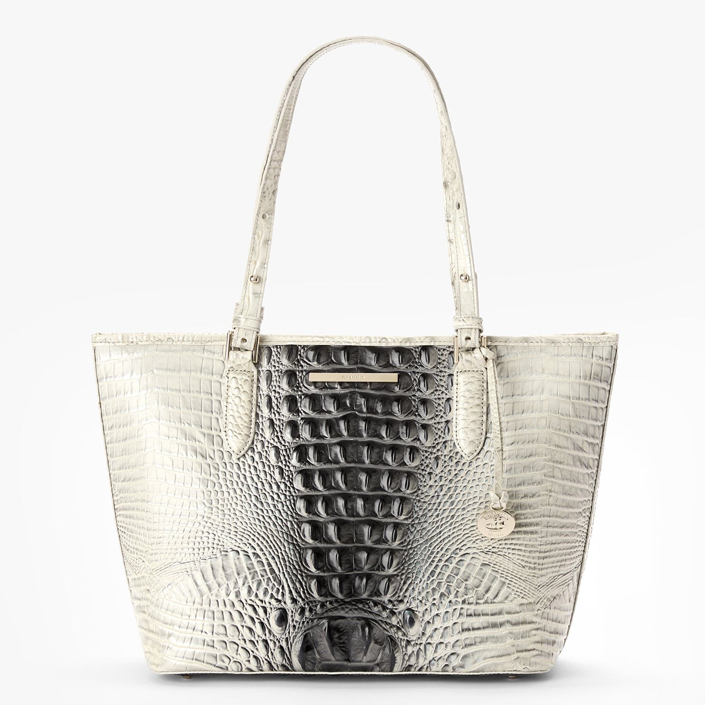 Brahmin Medium Asher Everlasting Ombre Melbourne