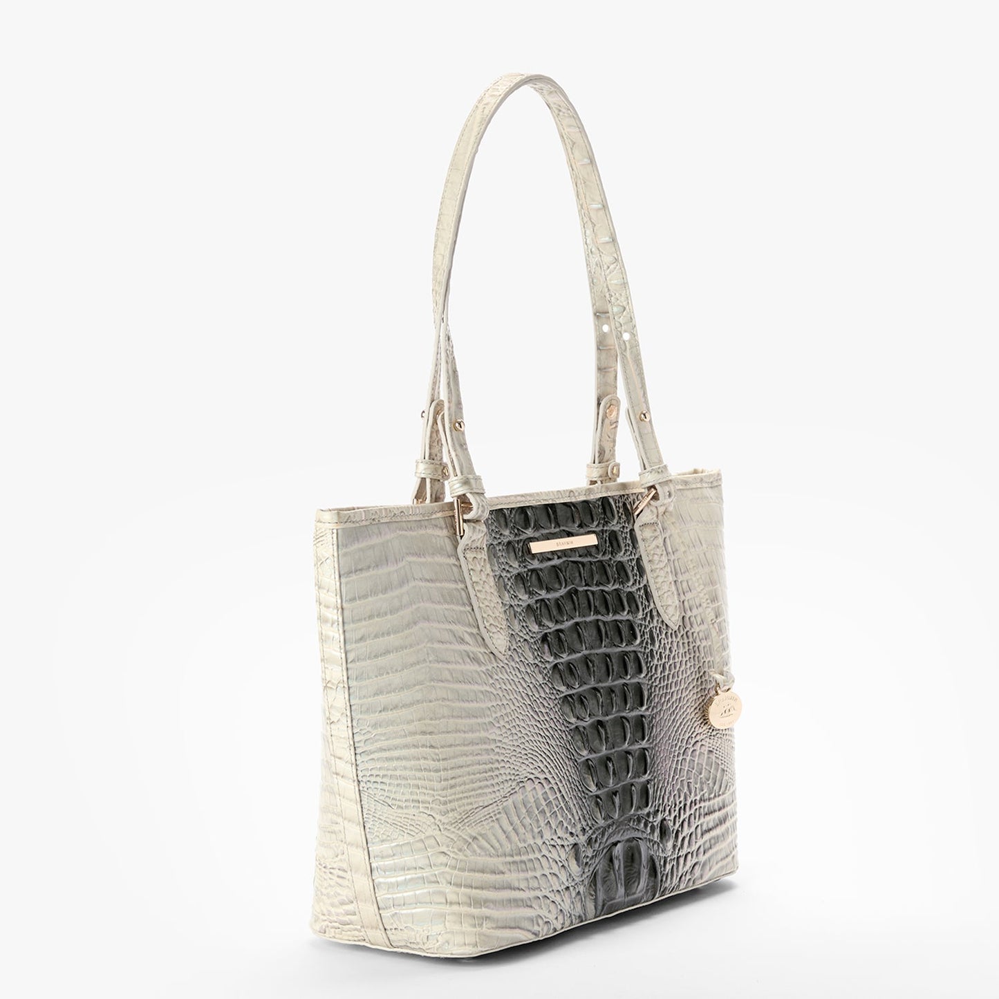 Brahmin Medium Asher Everlasting Ombre Melbourne