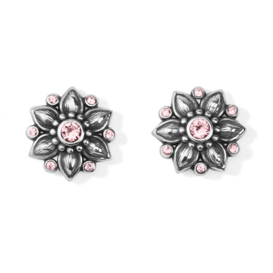 Womens Brighton Cora Mini Post Earrings