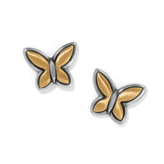 Womens Brighton Goldie Wings Mini Post Earrings