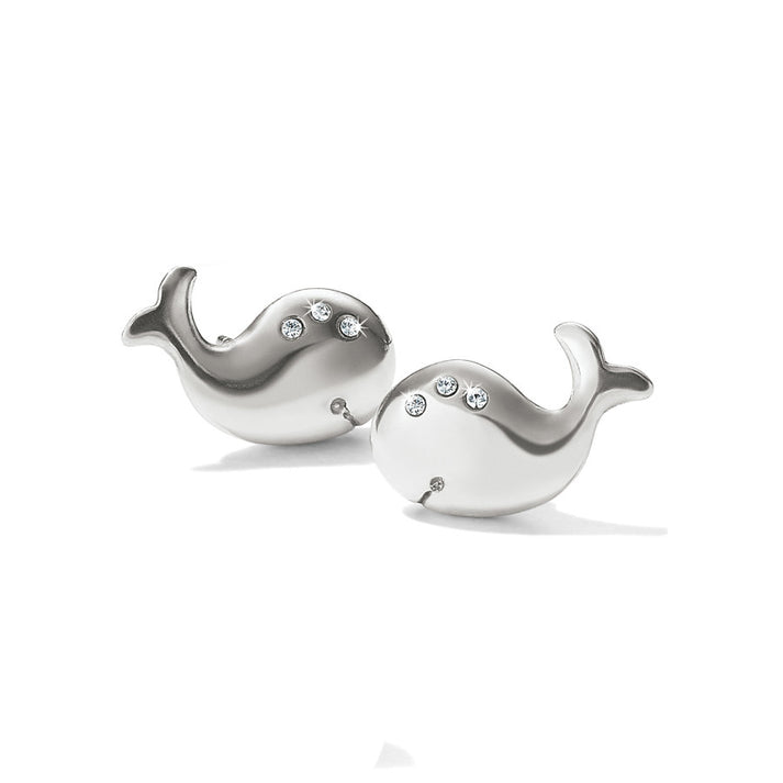 Womens Brighton Humphrey The Whale Mini Post Earrings