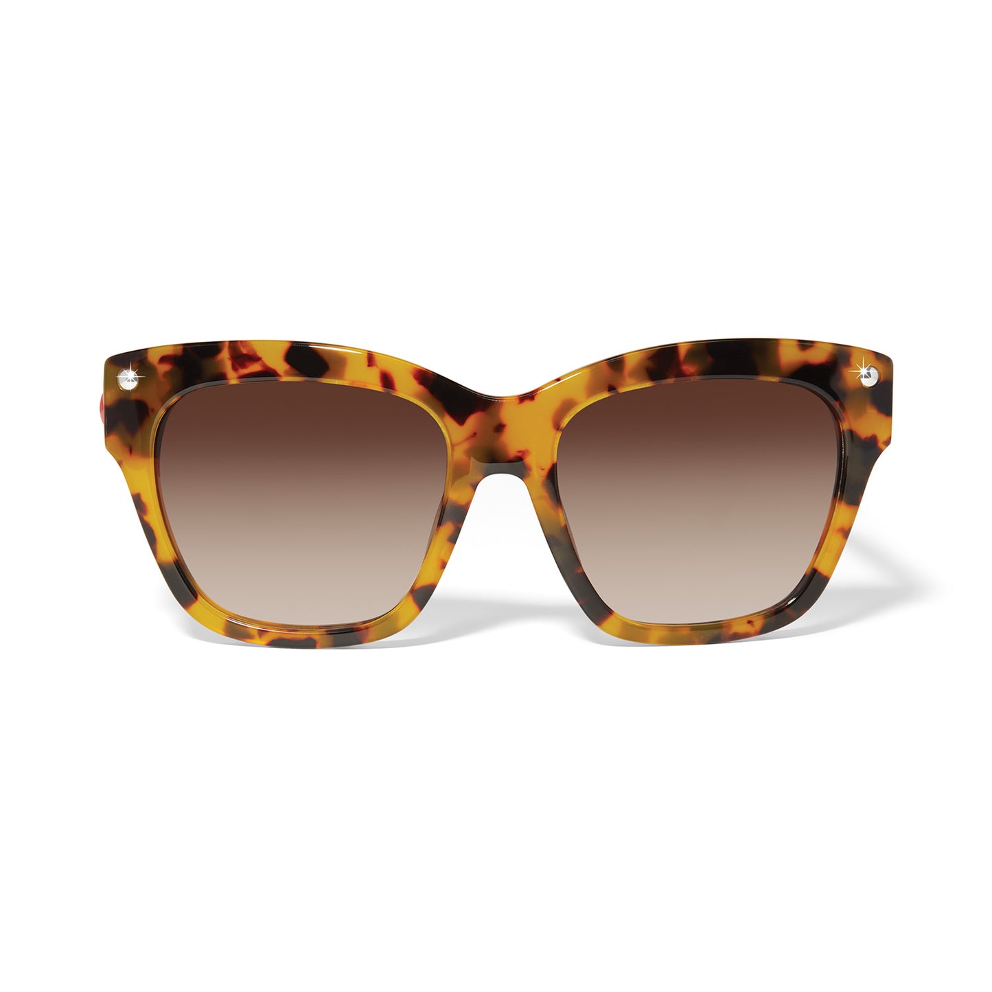 Womens Brighton Tortoise Fashionista Love Sunglasses