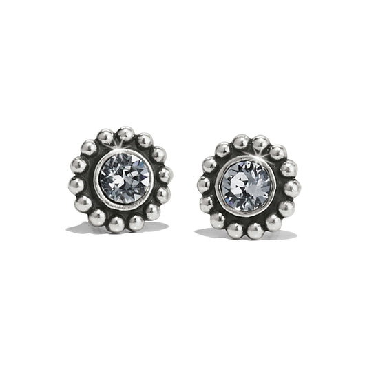 Womens Brighton Twinkle Mini Post Earrings