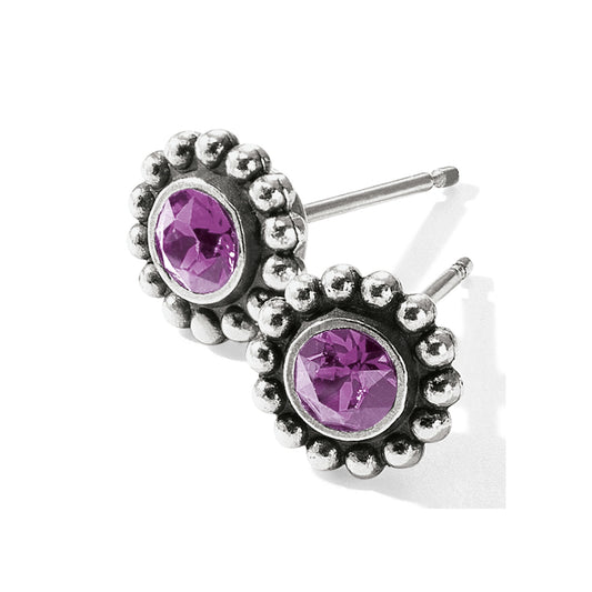 Womens Brighton Twinkle Mini Post Earrings in Amethyst