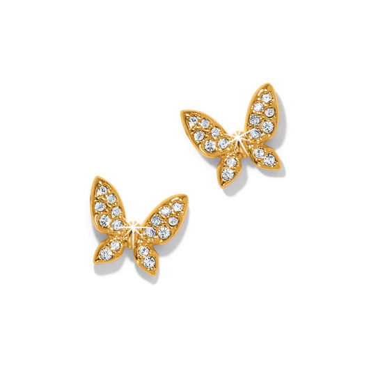 Womens Brighton Enchanting Butterfly Post Earrings in Gold