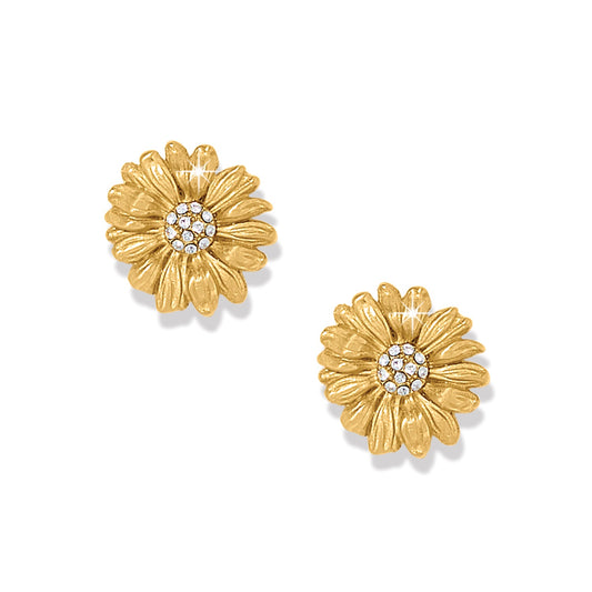 Womens Brighton Daisy Dee Post Earrings