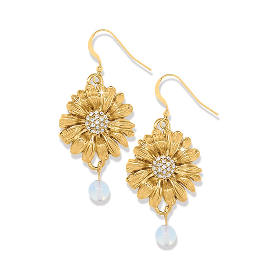 Womens Brighton Daisy Dee French Wire Earrings