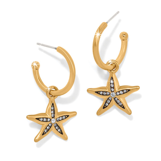 Womens Brighton Twilight Waters Starfish Hoop Earrings