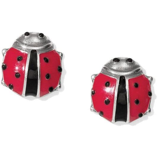 Womens Brighton Spring Ladybug Mini Post Earrings