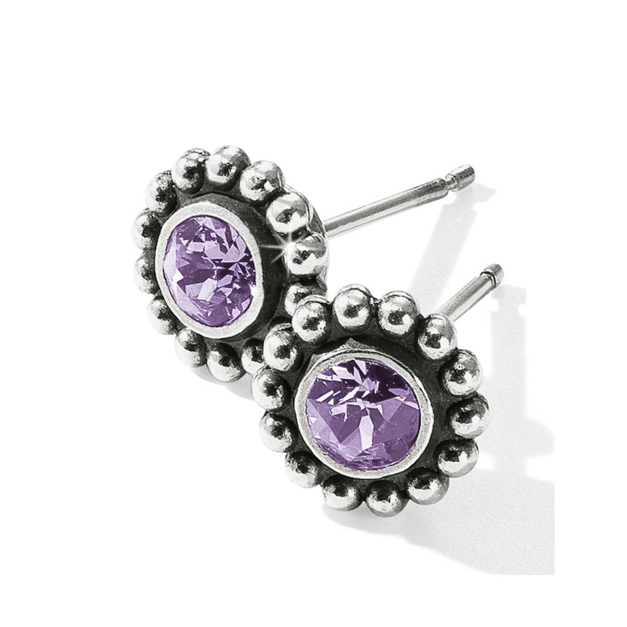 Womens Brighton Twinkle Mini Post Earrings in Tanzanite