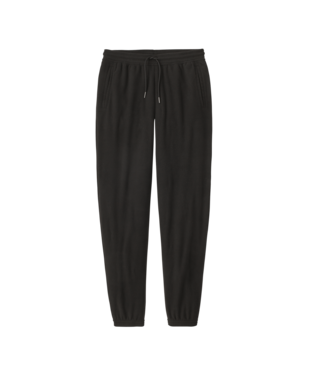 Women's patagonia joggers sales